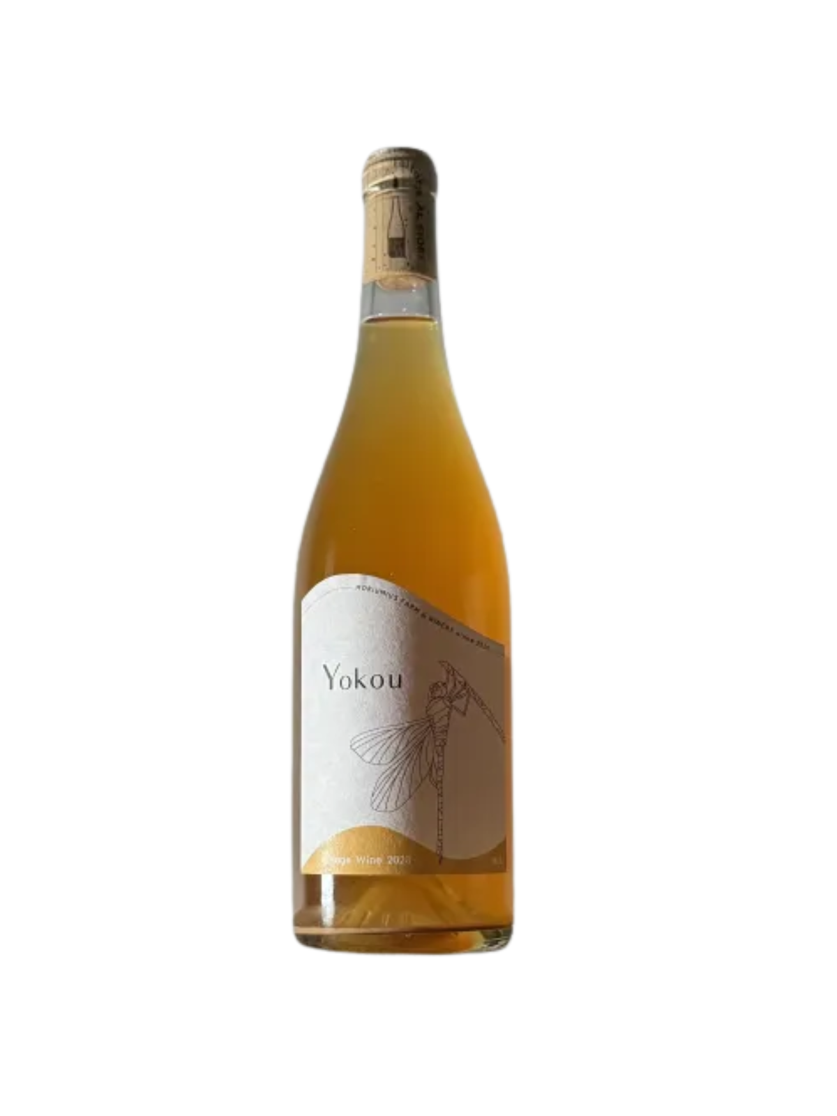 [2023] 陽光（モリウミアス・ファーム・アンド・ワイナリー）／Yokou（MORIUMIUS Farm & Winery）（オレンジ）
